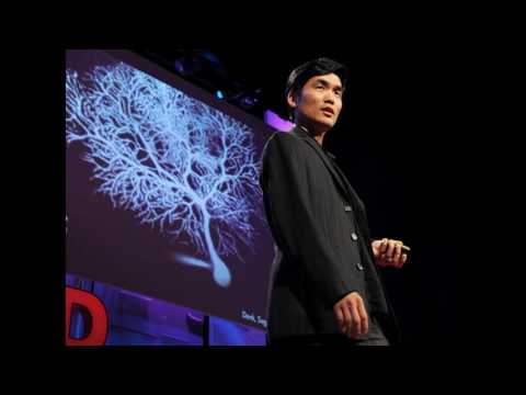 “Crowdsourcing a Neuroscience Revolution” - The Connectome Podcast, Episode 10 - Sebastian Seung