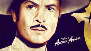 Mi Destino Fue Quererte - Banda Cruz de Oro Tributo a Antonio Aguilar