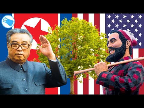 The Tree that Almost Started a War