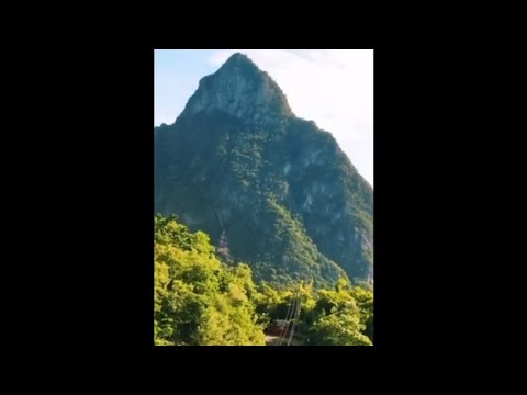 Donell - Peace In The Streets 