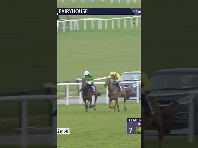 Thumbnail for Post ID: 0rUwHUyErDY