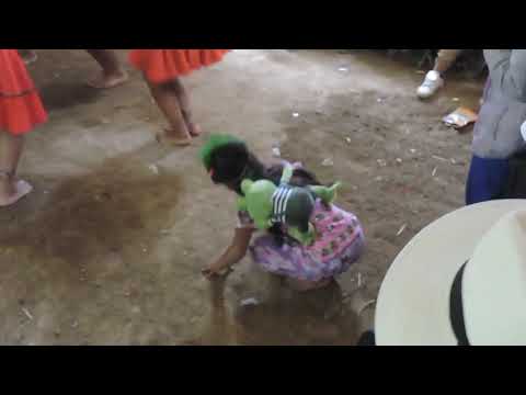 Danza el sapito, comunidad el porvenir resguardo unificado embera chamí, mistrató risaralda.