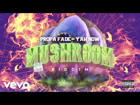 Propa Fade - Yah Now (Official Audio)