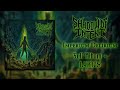 Shadow Of Intent Imperium Delirium Full Album Lyric Video HQ
