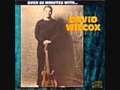 Hot, Hot Papa - David Wilcox