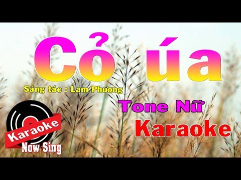 Cỏ Úa Karaoke ( Beat Chuẩn ) Tone Nữ