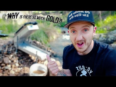 Why is There So Much Gold Here?!