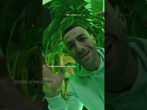 Stresi ft Niku Bossi - Paranoia