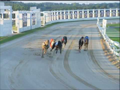 2017 STAR SPORTS DERBY - ROUND 3 - HEAT 6 - T5 TYRUR SHAY