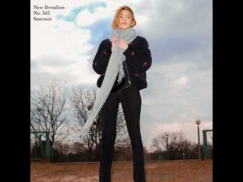 New Brvtalism No. 343 - Sournois