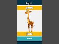 giraffe - jirafa video thumbnail