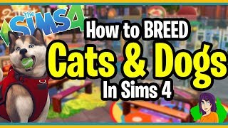 How to BREED pets in Sims 4, breeding pets in Sims 4 by Shillianth the chick with the aussie accent