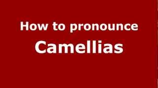 How to pronounce Camellias