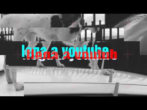 Ana sofia gv una perrita encantadora llega a youtube