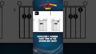 PINK FLOYD - Sheep | Scrolling Guitar Chords & Lyrics  #guitar #guitarlesson #lyrics #guitarcover