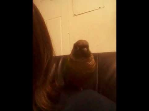 Zeke says I love you