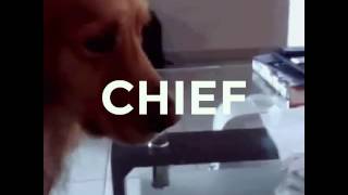 Don&#39;t fuck around with Chief Keef