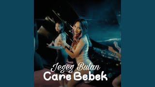 Download lagu Care Bebek... mp3