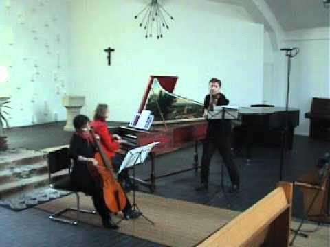 Vivaldi Sonata RV 13-4 Andrey Reshetin & Baltic Baroque/ Grigori Maltizov