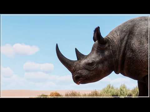 Can I Build a Budget CITY ZOO on a GRID in Just 2 HOURS? | Planet Zoo Franchise Mode Challenge