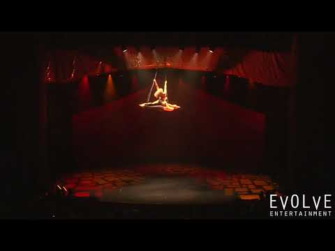 50 Shades Aerial Straps Duo