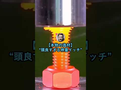 【本物の逸材】頭良すぎる神童イッチ【2ch面白いスレ】