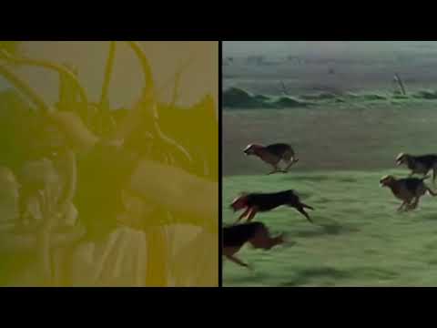 Safe Passage by Nassia Kalamakis and Erik Madigan Heck