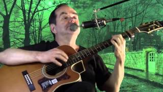 Madonna Of The Wasp by Robyn Hitchcock