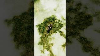 My @LanaDelRey  x @ludovicoeinaudi  remix is dropping sooooon… ✨ Be ready 🤍 #melodic #viral