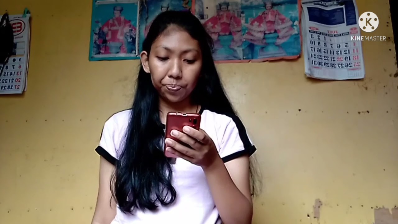 Mi Ultimo Adios- Literary Analysis