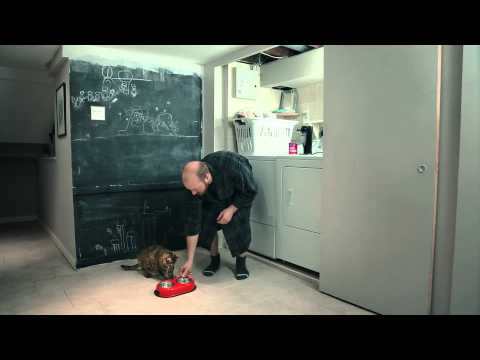 ⁣Lazy Environmentalism - Feed your cat