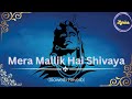 Mera Mallik Hai Shivaya Kailash Pati Hai Woh Lyrics Full Video Viral Lyrics Songs