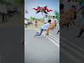 Dog Race Kolhapur Kolhapur Dog Racing Dog Race Maharashtra Shorts Arfyads Dograce