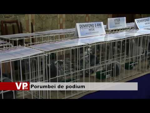 Porumbei de podium