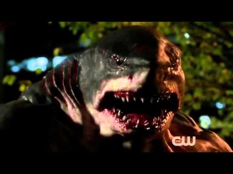 The Flash   First Appearance of King Shark   HD 2