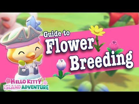 How to Breed New Flower Colors & Patterns | Hello Kitty Island Adventure Flower Breeding Guide