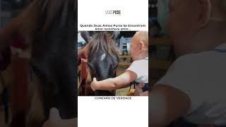 O Bebê Chamou o Cavalo e Ele Veio na Hora!