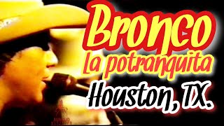 La potranquita; Bronco en Houston mayo 1990.