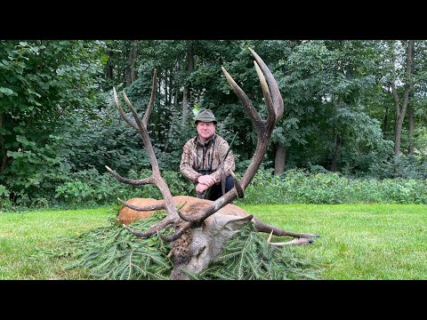Brunftplatz in Litauen entdeckt