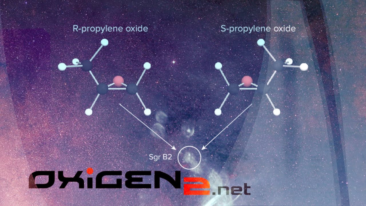 Putem pune viața în ecuație?