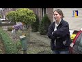 Ongerwaeg en een krokodil in America - 18 november 2020
