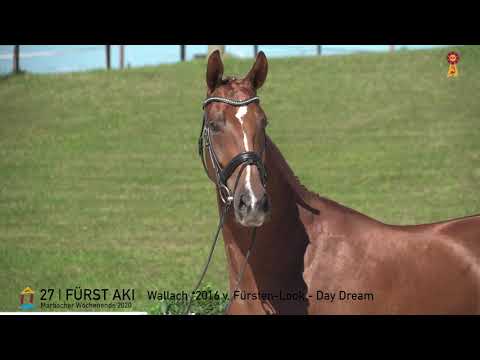 27 Fürst Aki v. Fürsten-Look - Day Dream  *MARBACHER WOCHENENDE 2020*