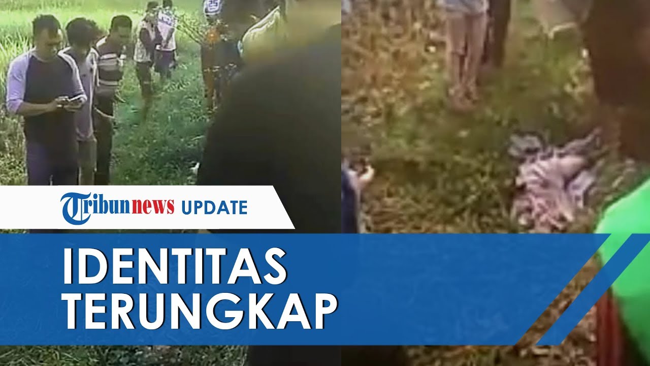 Identitas Mayat Nyaris Tanpa Busana di Sukabumi Terungkap, Sempat Berkirim Pesan dengan Sang Ibu - Tribun Video