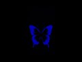 Blue Lover Whatsapp Status Blue Everything Dark Blue Status