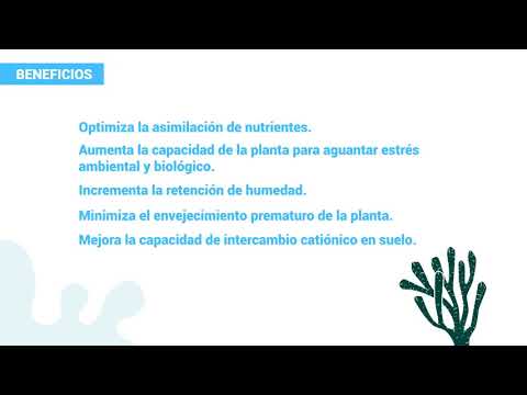 MaxBio Algae