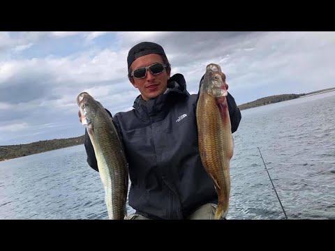 Tremenda pesca de pejerrey || ENORMES! Pesca en San Luis - Dique La Florida