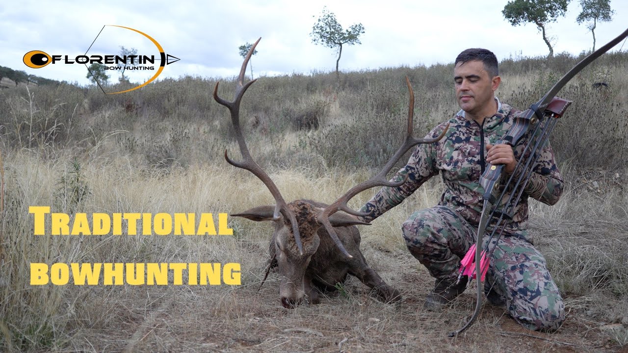 CAZA CON ARCO, Ciervo y flecha en movimiento