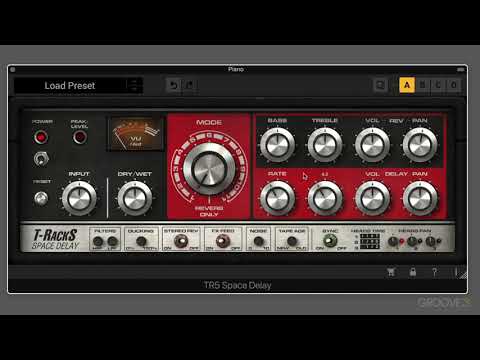 Understanding the T-RackS Space Delay Interface