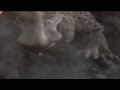 Kaiju Dinosaur Stomp 41 HD 720p