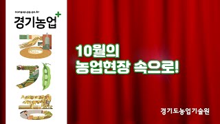 (이달의 농업현장) 10월의 농업현장 속으로!